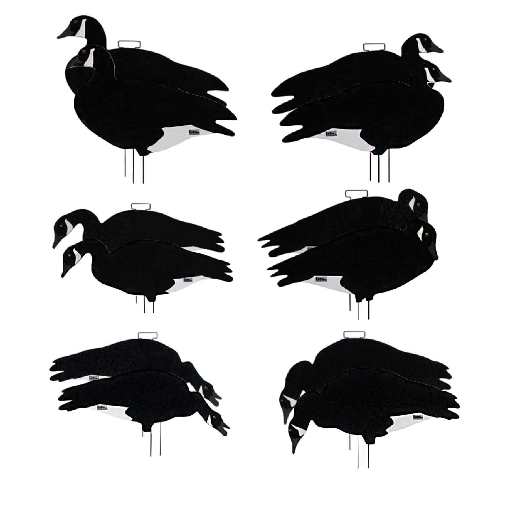 Avery GHG Pro-Grade silhouette goose decoys deliver realistic field visuals to attract geese with a glare-free matte finish.