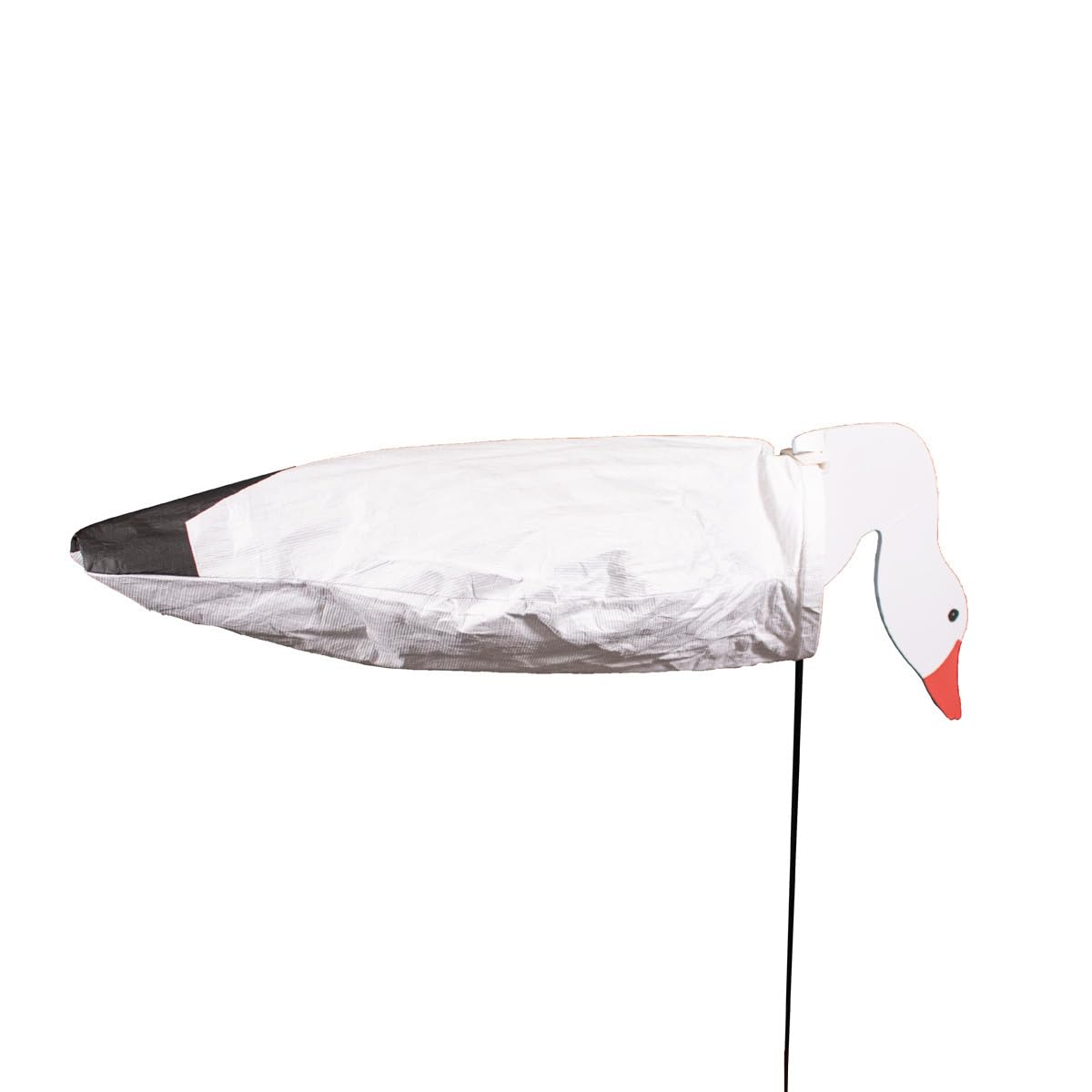 Avery no-glare matte bodies reduce reflections for natural viewing