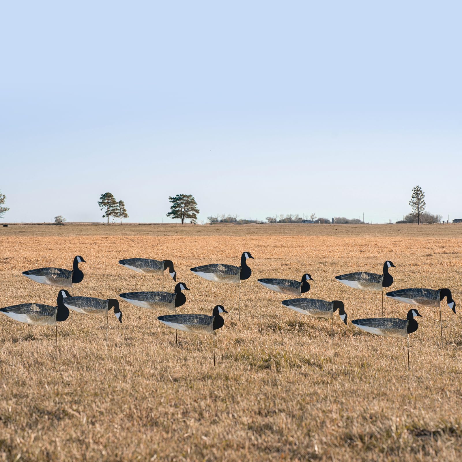 Avery GHG windsock decoy with painted Canada goose heads for realistic field setups.