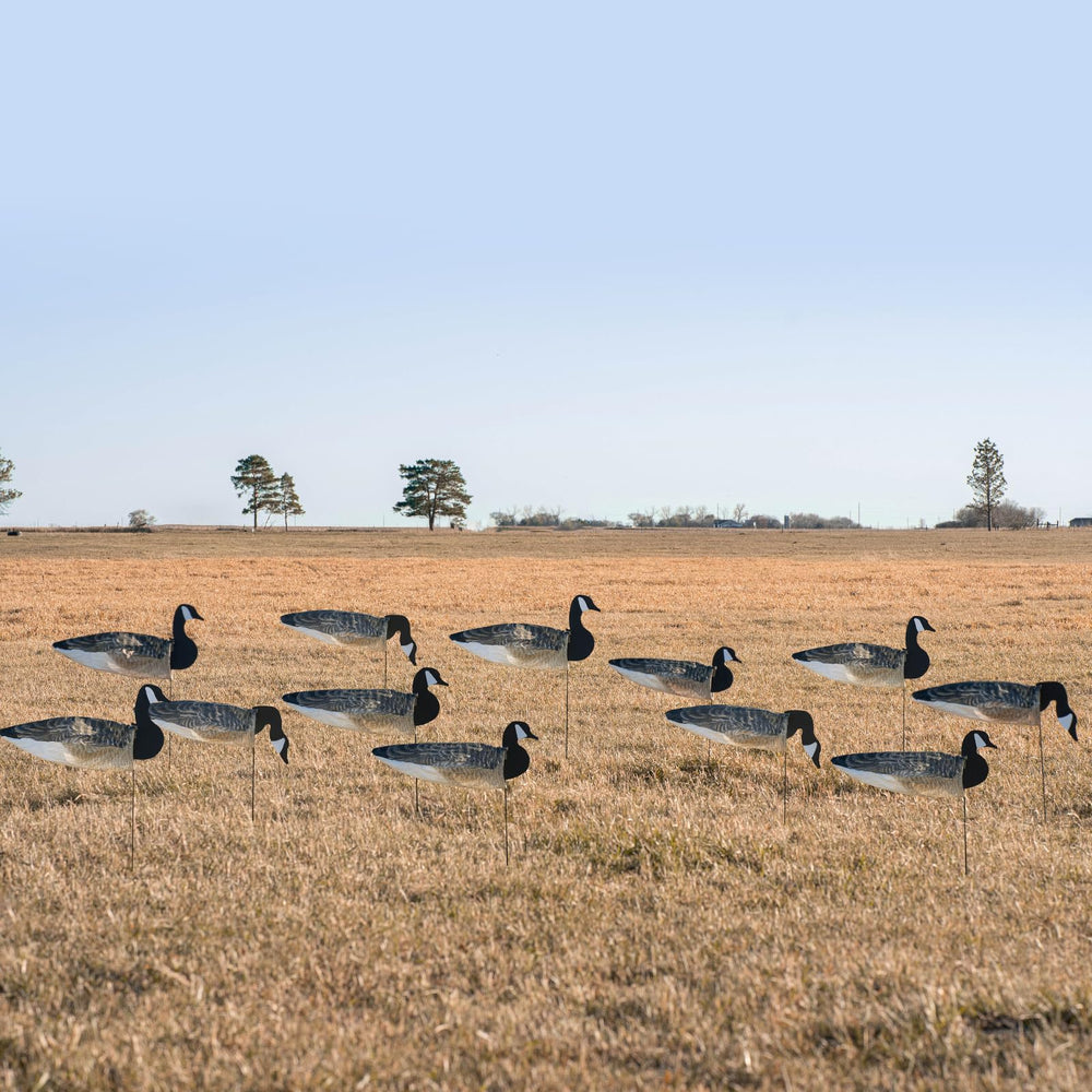 Avery GHG windsock decoy with painted Canada goose heads for realistic field setups.