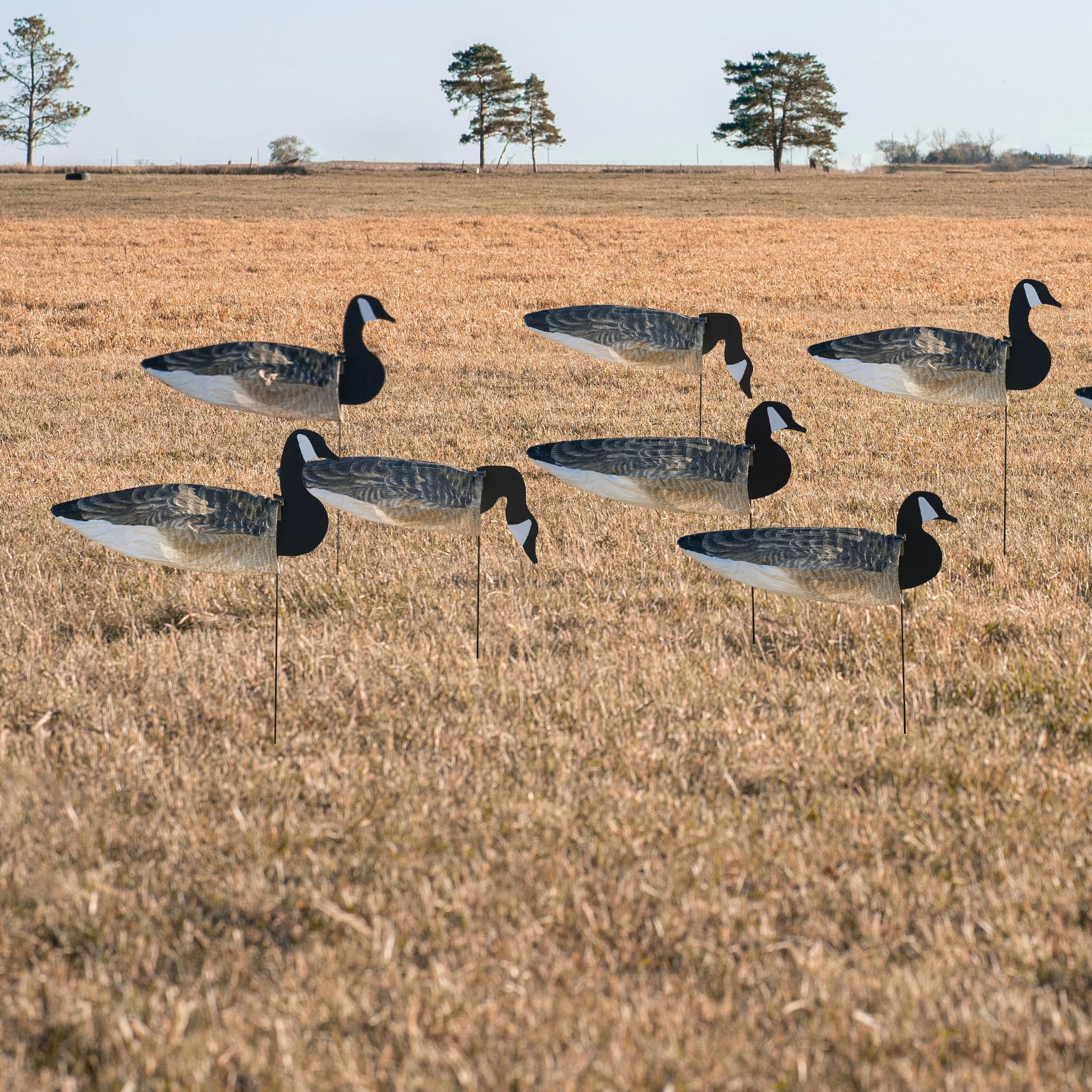 Avery GHG decoys showcase six active feeder heads for versatile goose patterns.