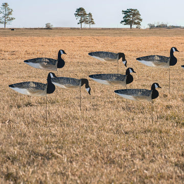 Avery GHG decoys showcase six active feeder heads for versatile goose patterns.