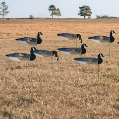 Avery GHG decoys showcase six active feeder heads for versatile goose patterns.