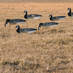 Avery GHG windsock with matte finish reduces glare during daylight hunts.