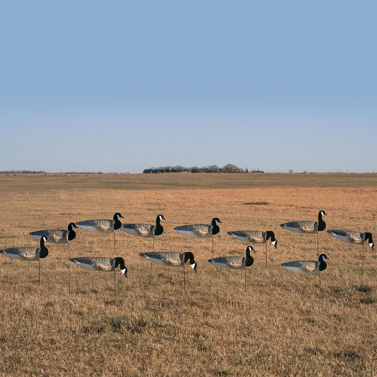 Avery GHG wind decoys with goose heads offer realistic setup and quick deployment