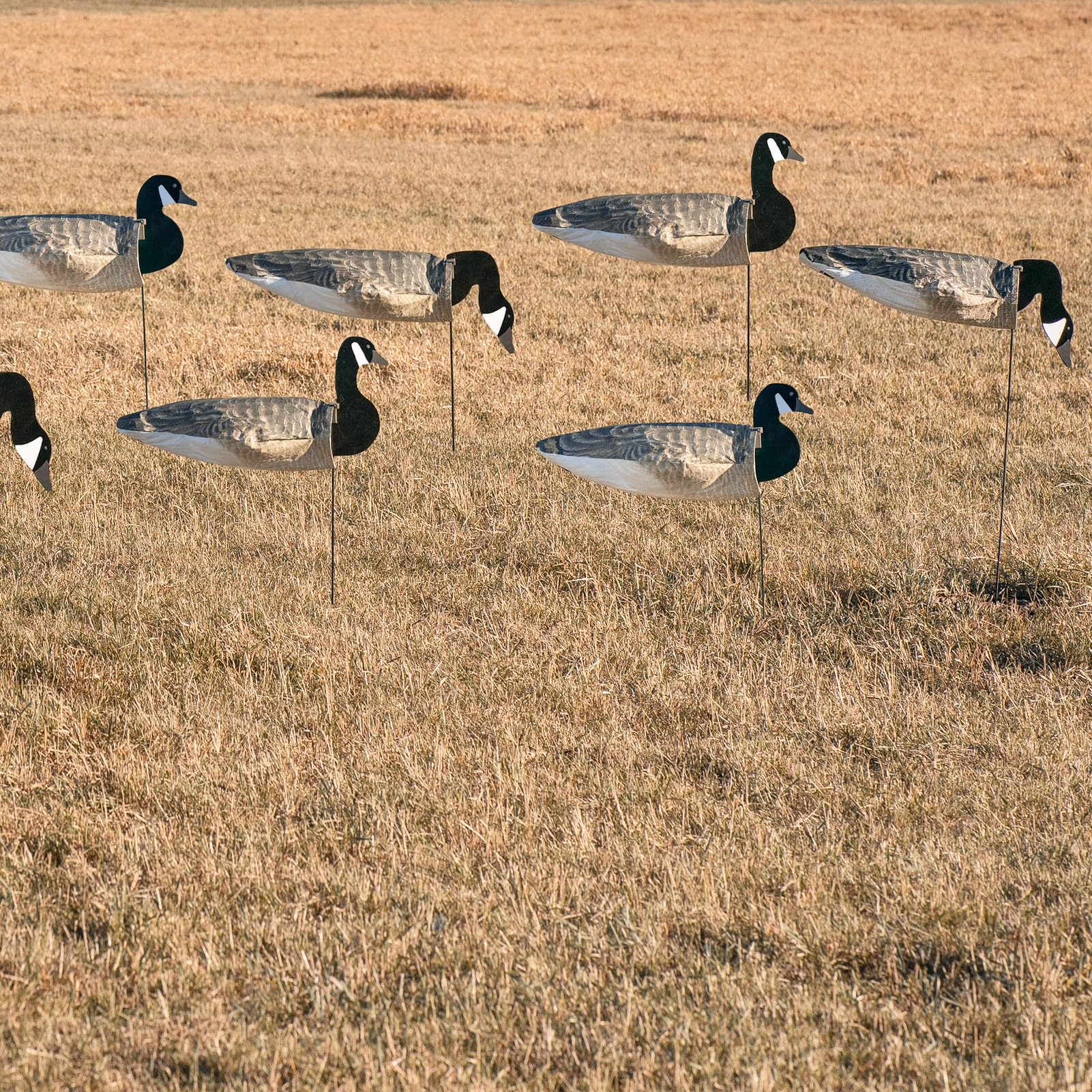 Avery GHG wind decoys finish reduces glare for natural, low-profile appearance