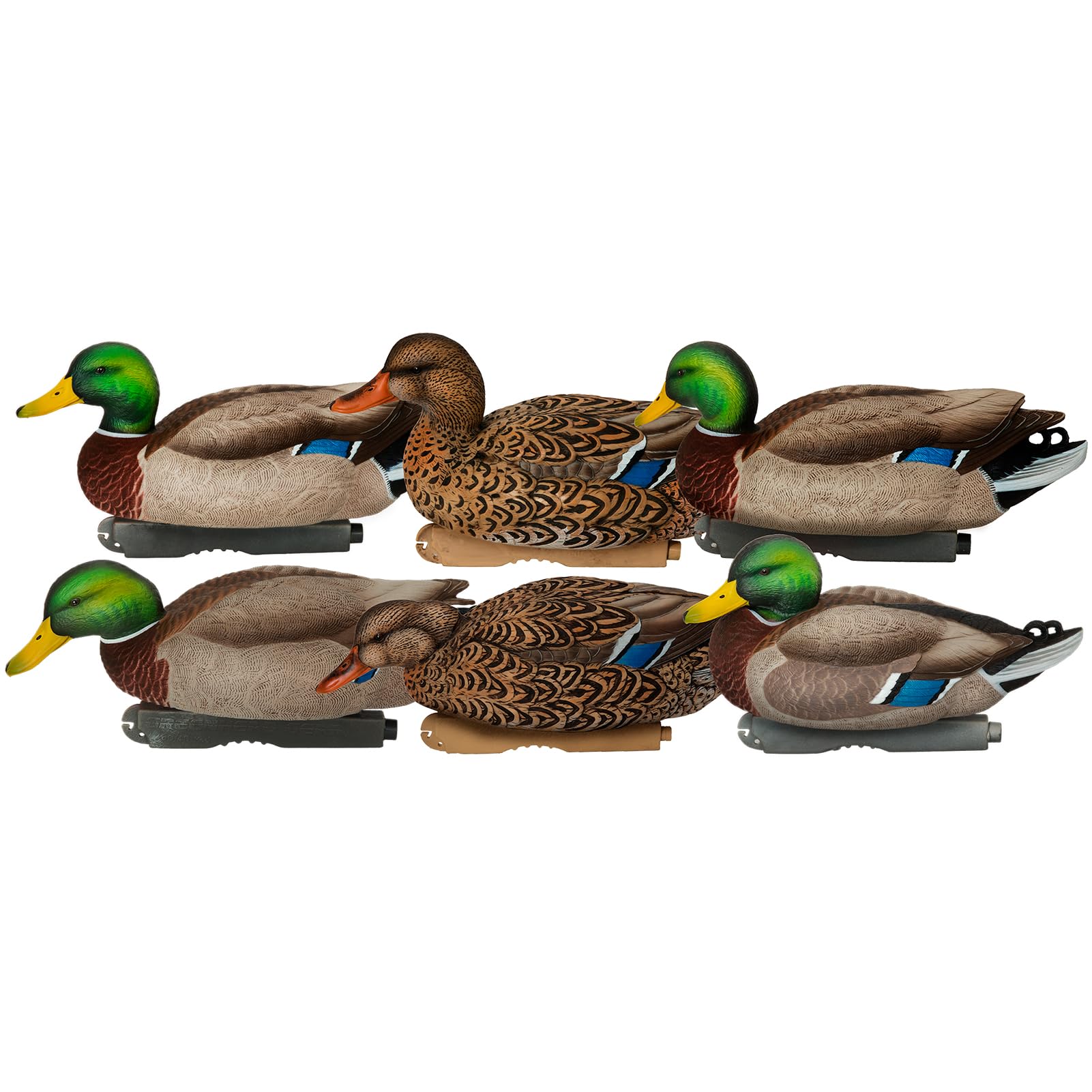 Avery GHG Pro-Grade XD active drake decoy enhances lifelike field setups.