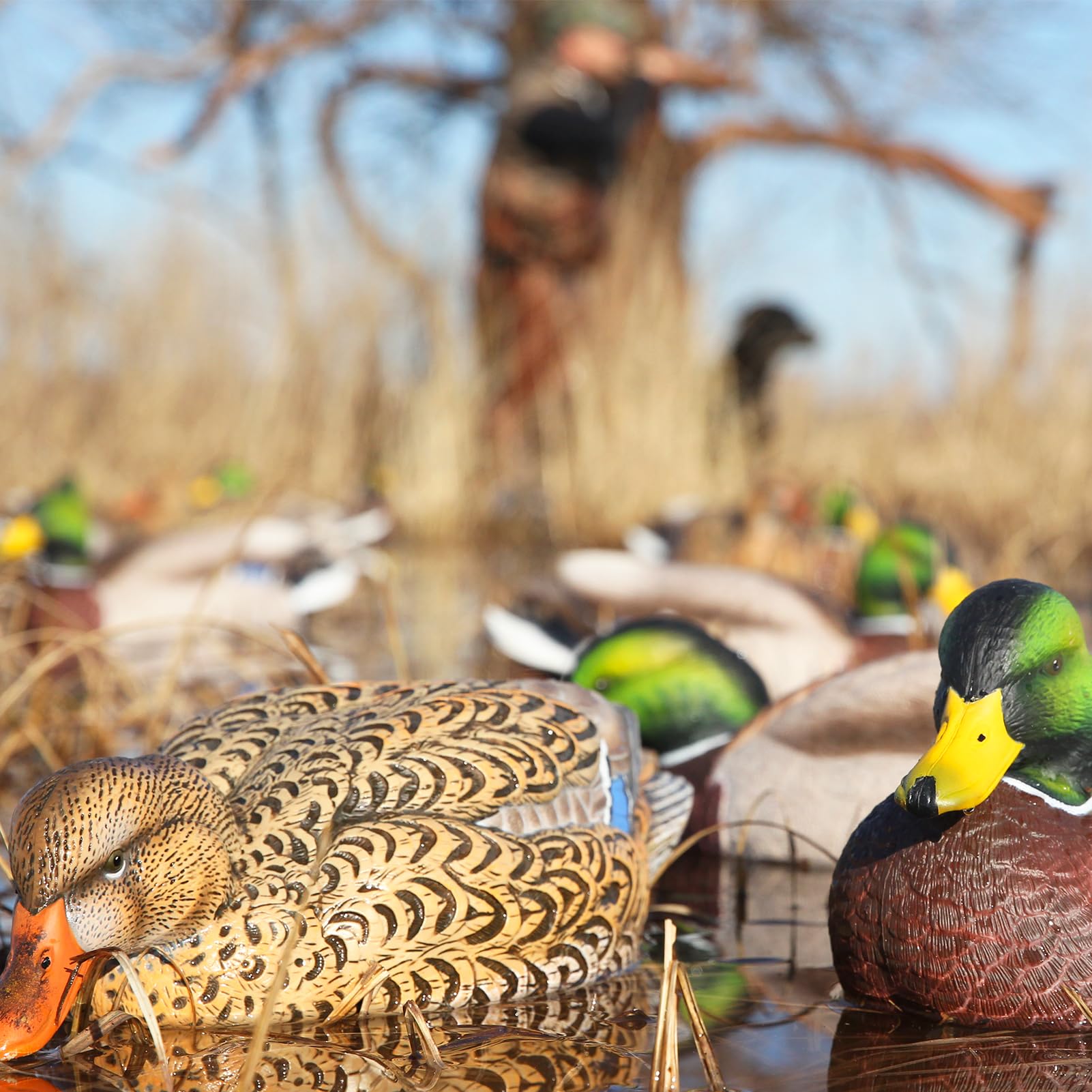 Avery GHG Pro-Grade XD active hens add flock realism