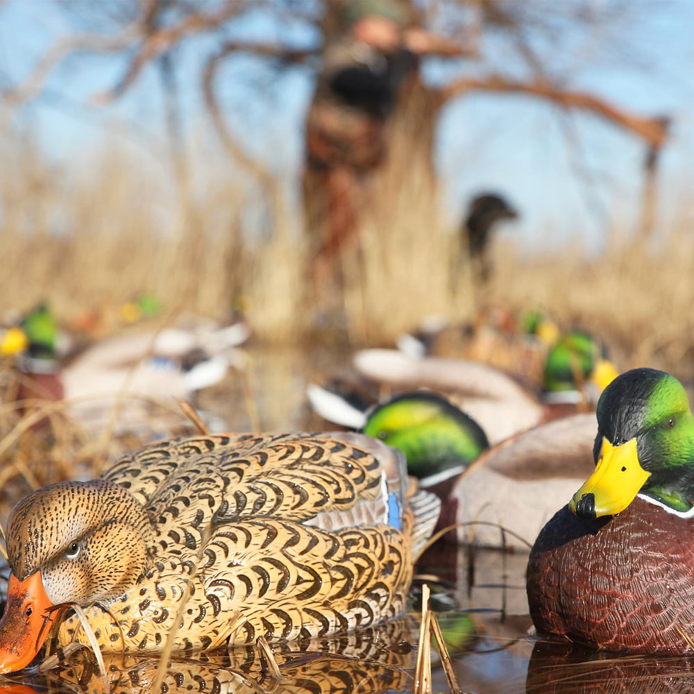 Avery GHG Pro-Grade XD active hens add flock realism