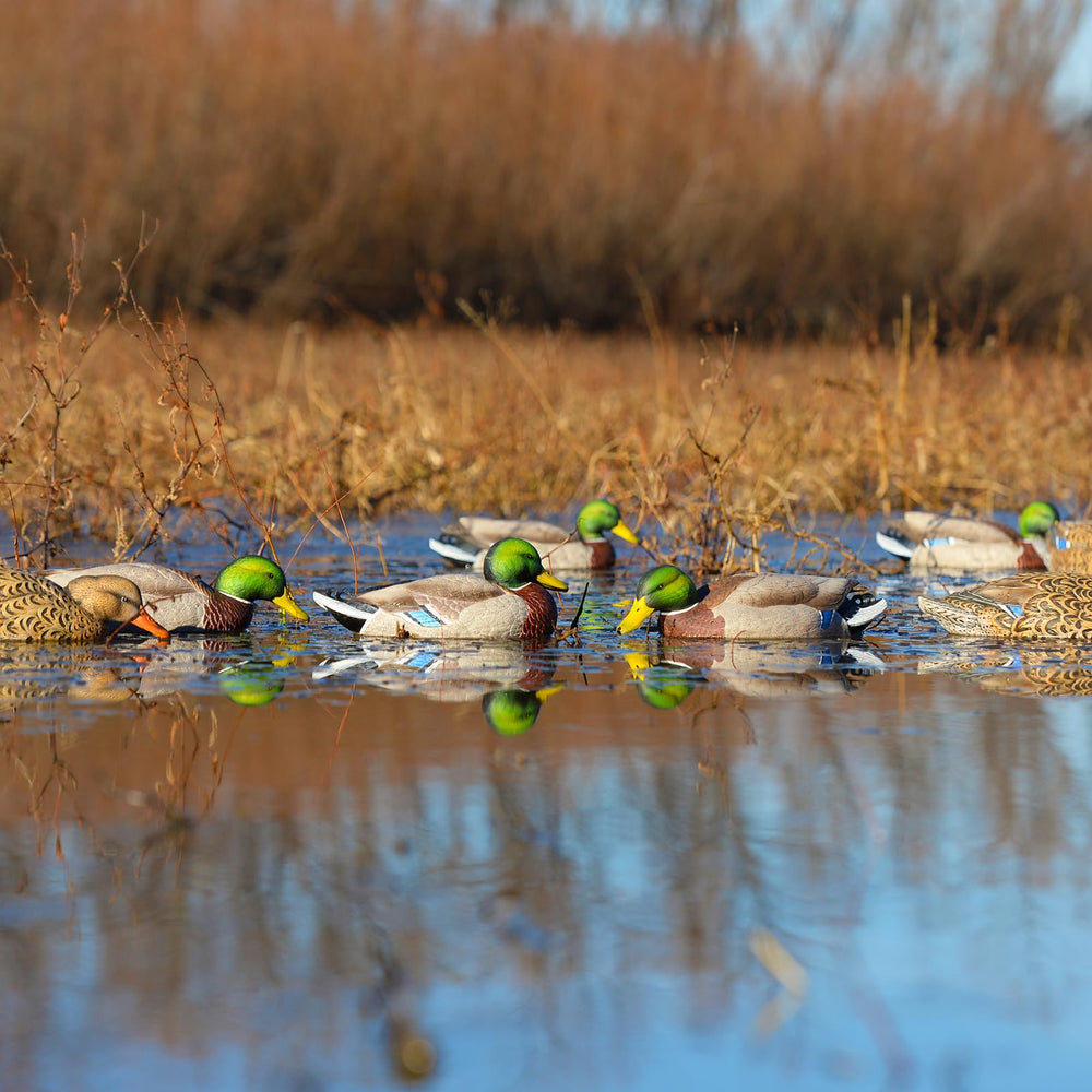 Avery GHG Pro-Grade XD rester hen provides balanced decoy spread
