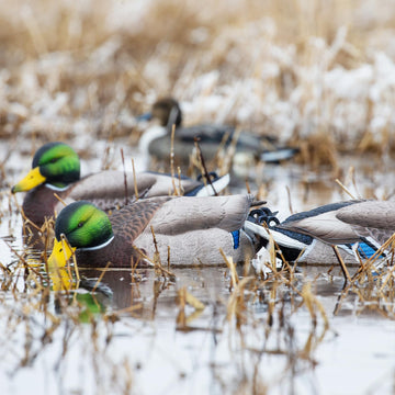 Avery GHG Pro-Grade XD spread view decoy shows overall flock arrangement.