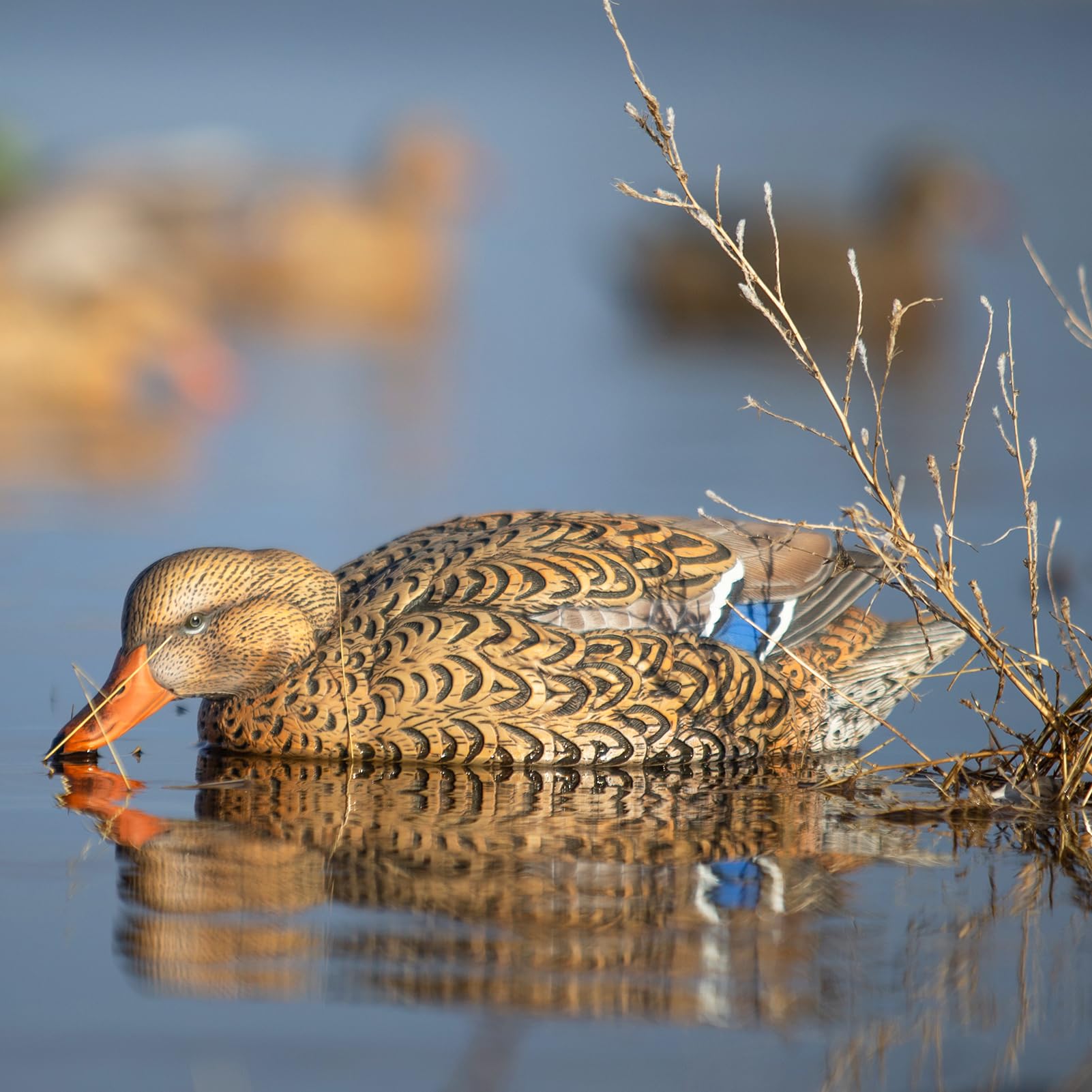 Avery GHG Pro-Grade XD surface-feeder hen decoy creates realistic feeding silhouettes.
