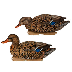Avery GHG Pro-Grade XD swimmer drake decoy provides varied posture in a spread.