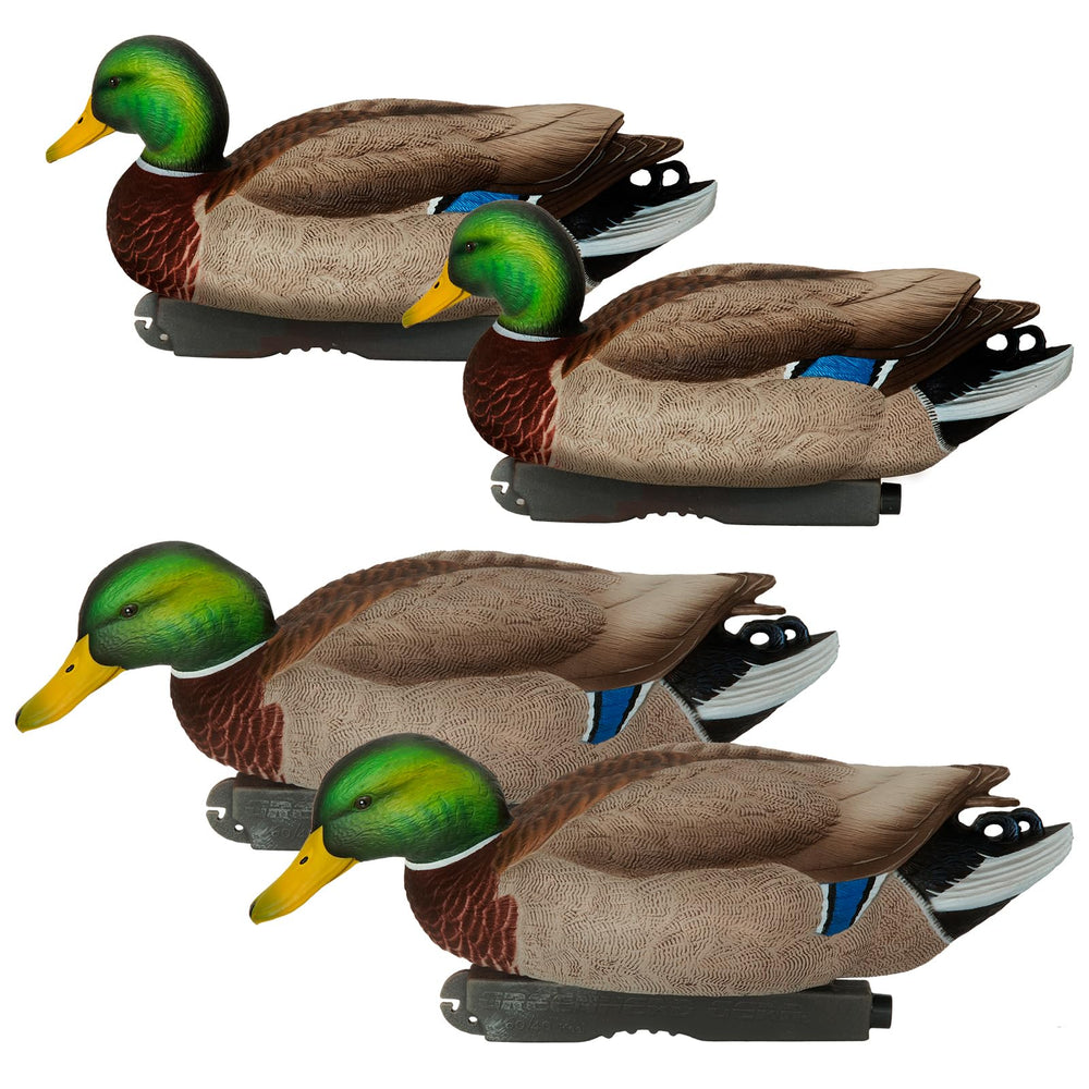 Avery GHG Pro-Grade XD swimmer drakes pose lifelike water action
