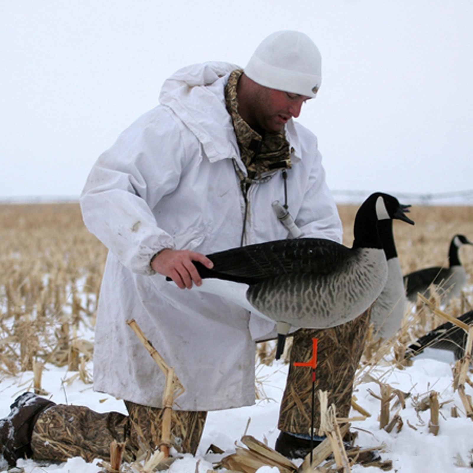 Avery GHG RealMotion stakes pack of 12 for full-spread readiness.