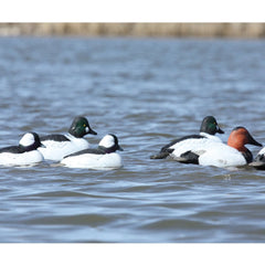 Avery Greenhead Gear diver duck pack versatile in field with multiple positioning options.