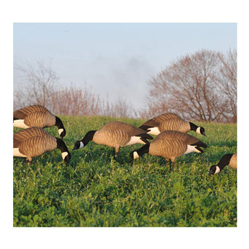Avery Hunter Series decoys with brilliant color schemes for high visibility