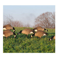 Avery Hunter Series decoys with brilliant color schemes for high visibility