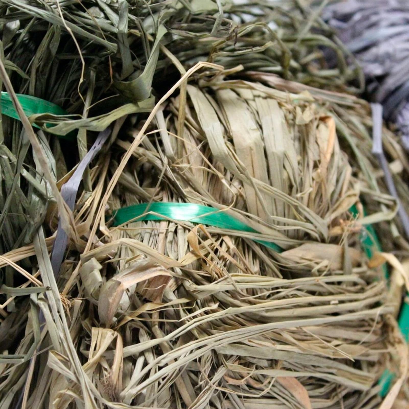 Avery KillerWeed full-coverage design helps conceal the boat from shorelines
