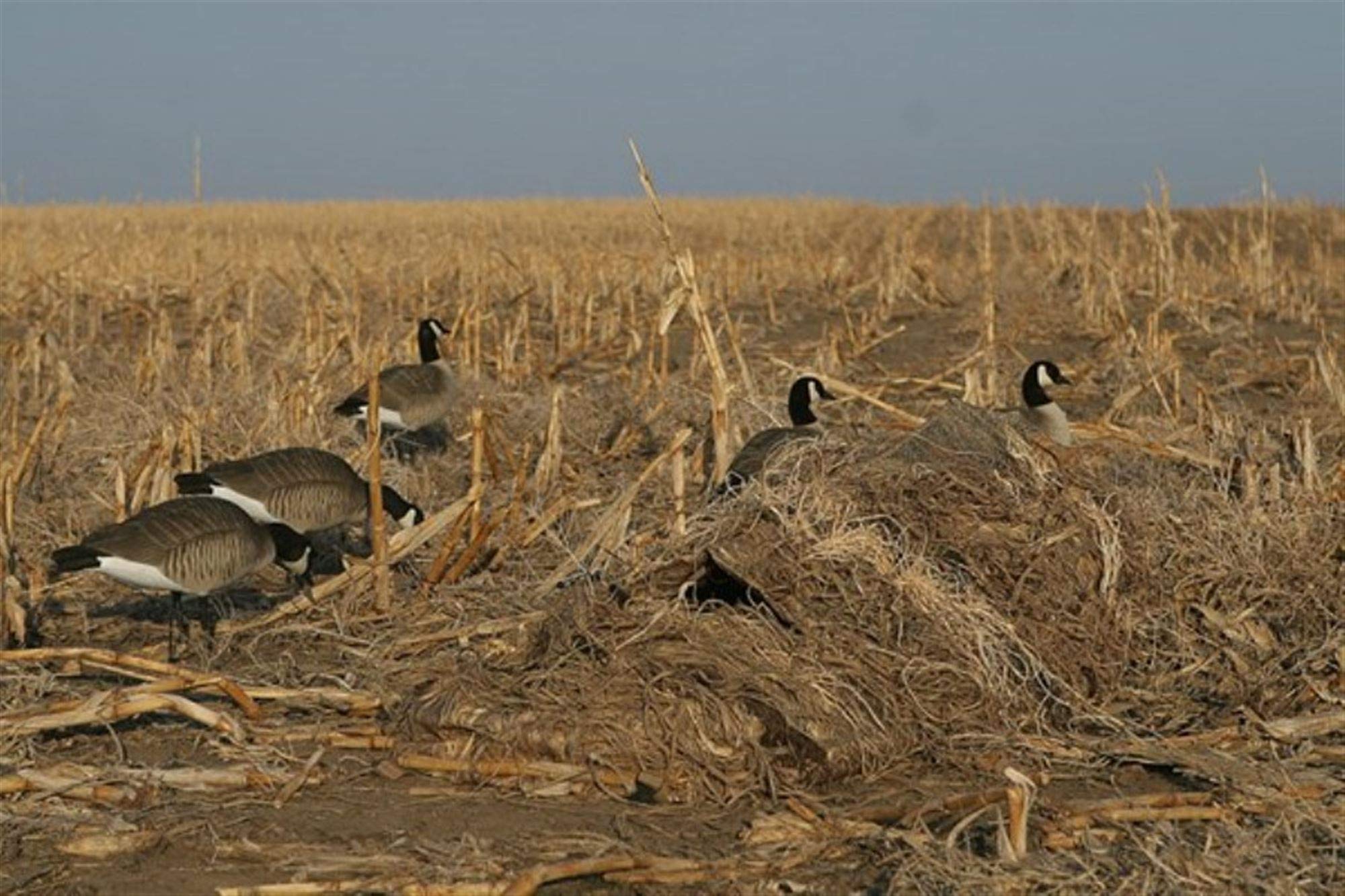 Avery KillerWeed Layout Blind Kit with palm-fiber camouflage for durable field concealment