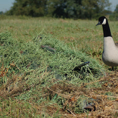 Avery Killerweed layout blind kit in winter wheat blends with fields for natural concealment during hunts.