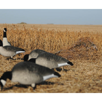 Avery Killerweed Singles concealment material blends into marsh terrain; rot-resistant, ideal for waterfowl hunting