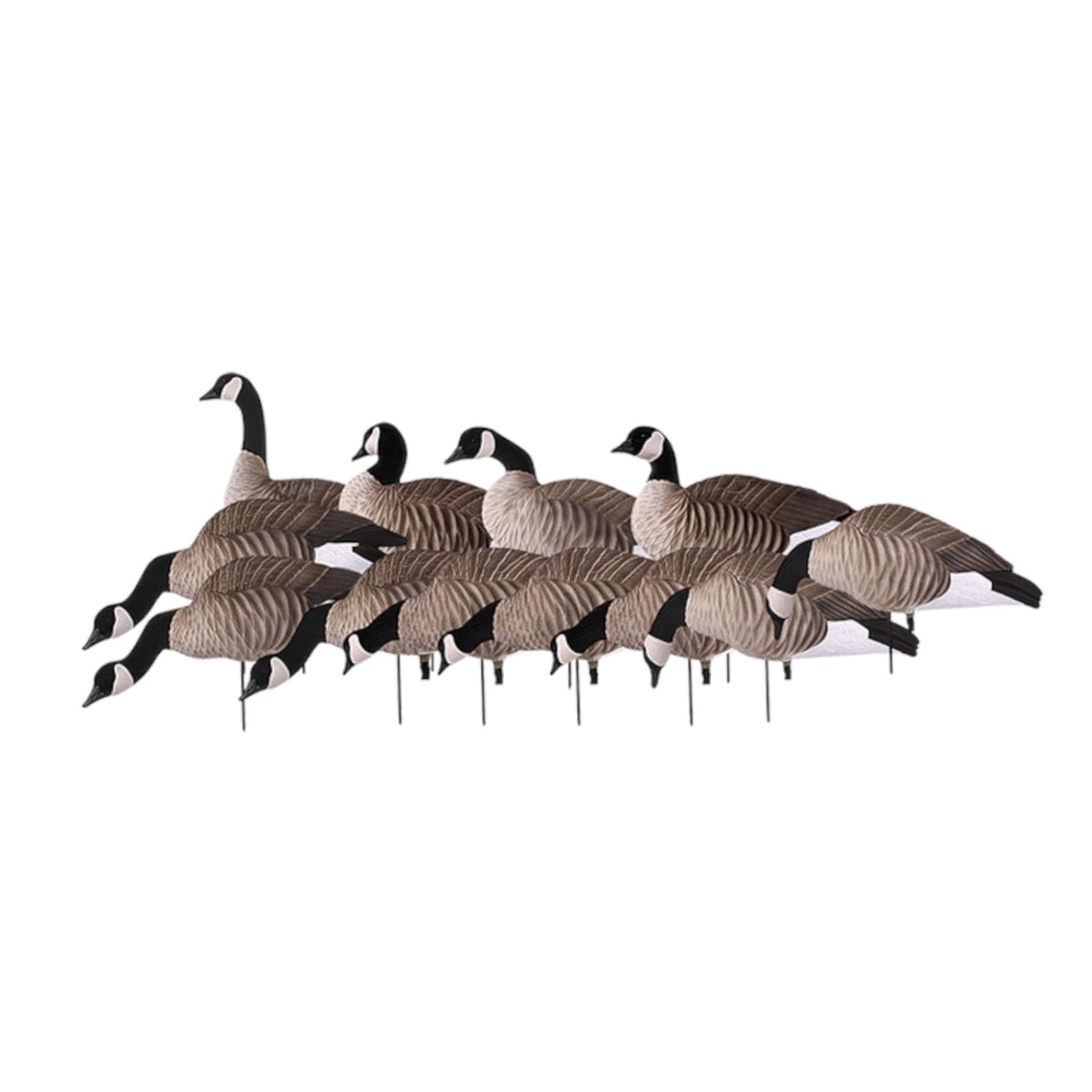 Avery Lesser Canada Harvester decoys in full-body pose for realistic field presentation