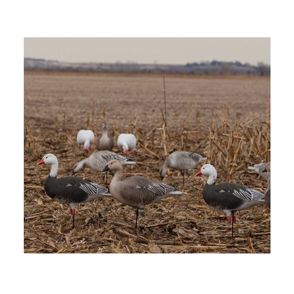 Avery Outdoors Pro-Grade Goose Decoy in blue-harvester finish delivers durable, lifelike field presence.