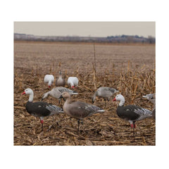Avery Outdoors Pro-Grade Goose Decoy in blue-harvester finish delivers durable, lifelike field presence.
