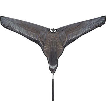 Avery Outdoors Super Flag Specklebelly Goose wings in motion attract passing geese.