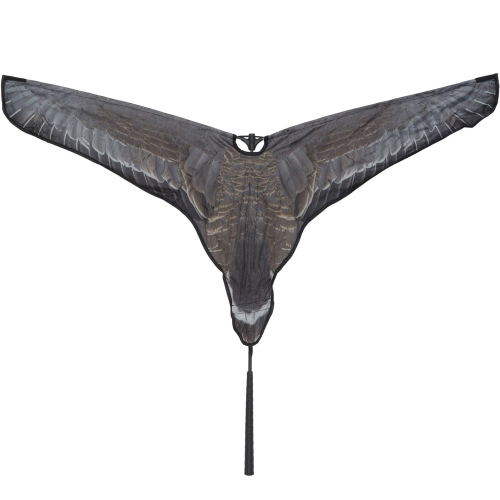 Avery Outdoors Super Flag Specklebelly Goose wings in motion attract passing geese.
