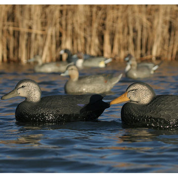 Avery 6-pack over-size black duck decoys show durable pro-grade construction.