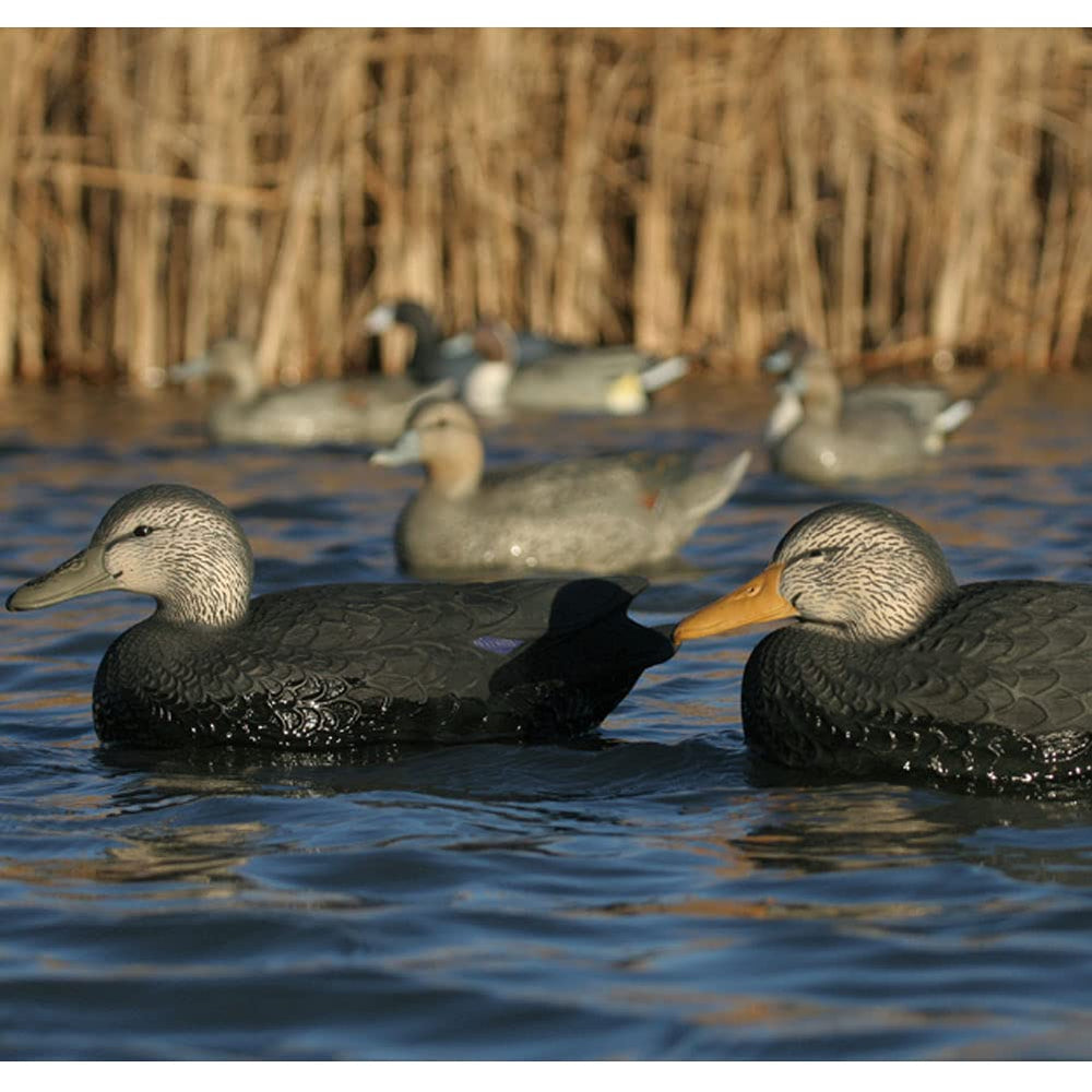 Avery 6-pack over-size black duck decoys show durable pro-grade construction.
