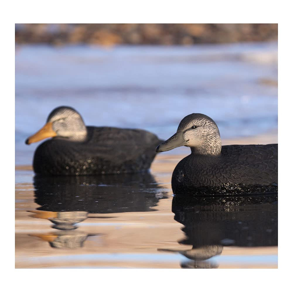 Avery decoys feature a fixed weighted keel for stable positioning.