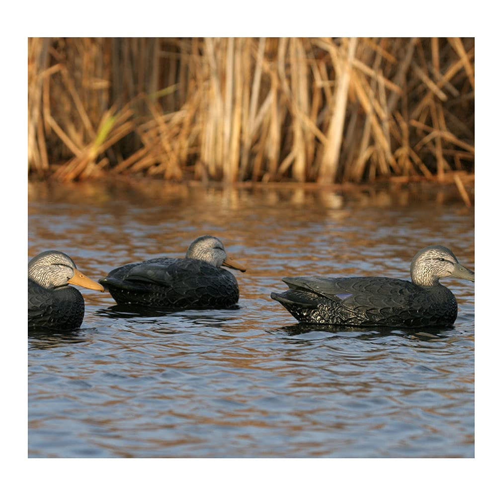 Avery over-size decoys offer ultra-realistic carvings and life-like paint schemes.