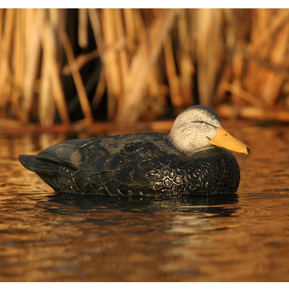 Avery duck decoys provide high visibility and rugged long-lasting performance.