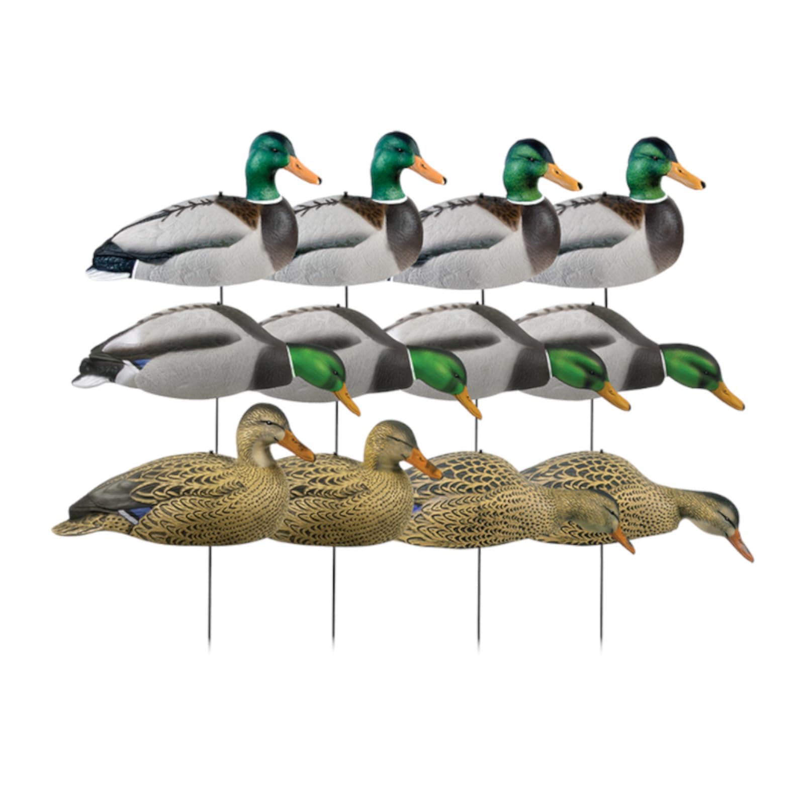 Avery over-size Mallard Shell Harvester Hen decoy adds lifelike posture to attract ducks at distance.