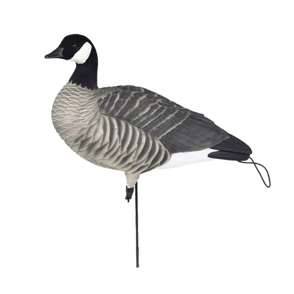 Avery Pro-Flex harvester feeder decoy adds depth to your spread for better silhouette.
