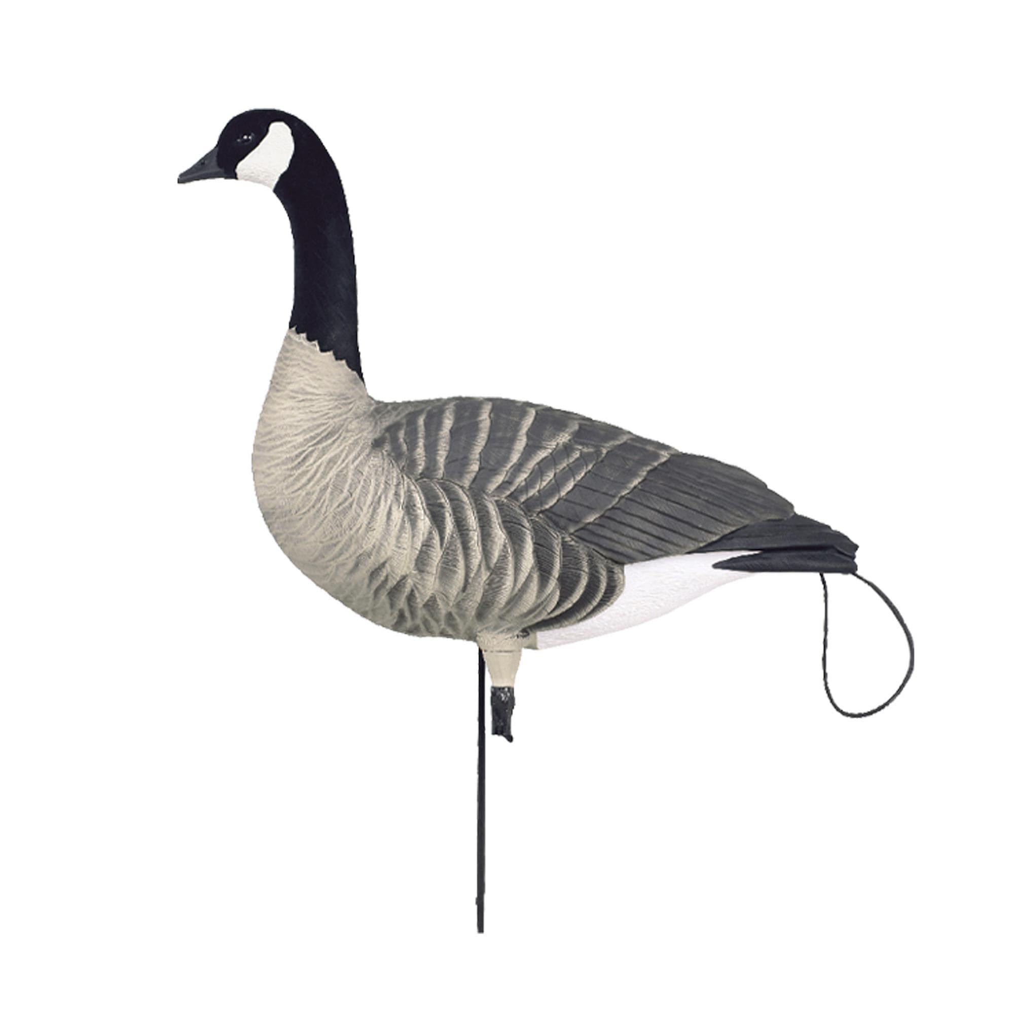 Avery Pro-Flex harvester left-feeder decoy introduces variety and movement without extra gear.