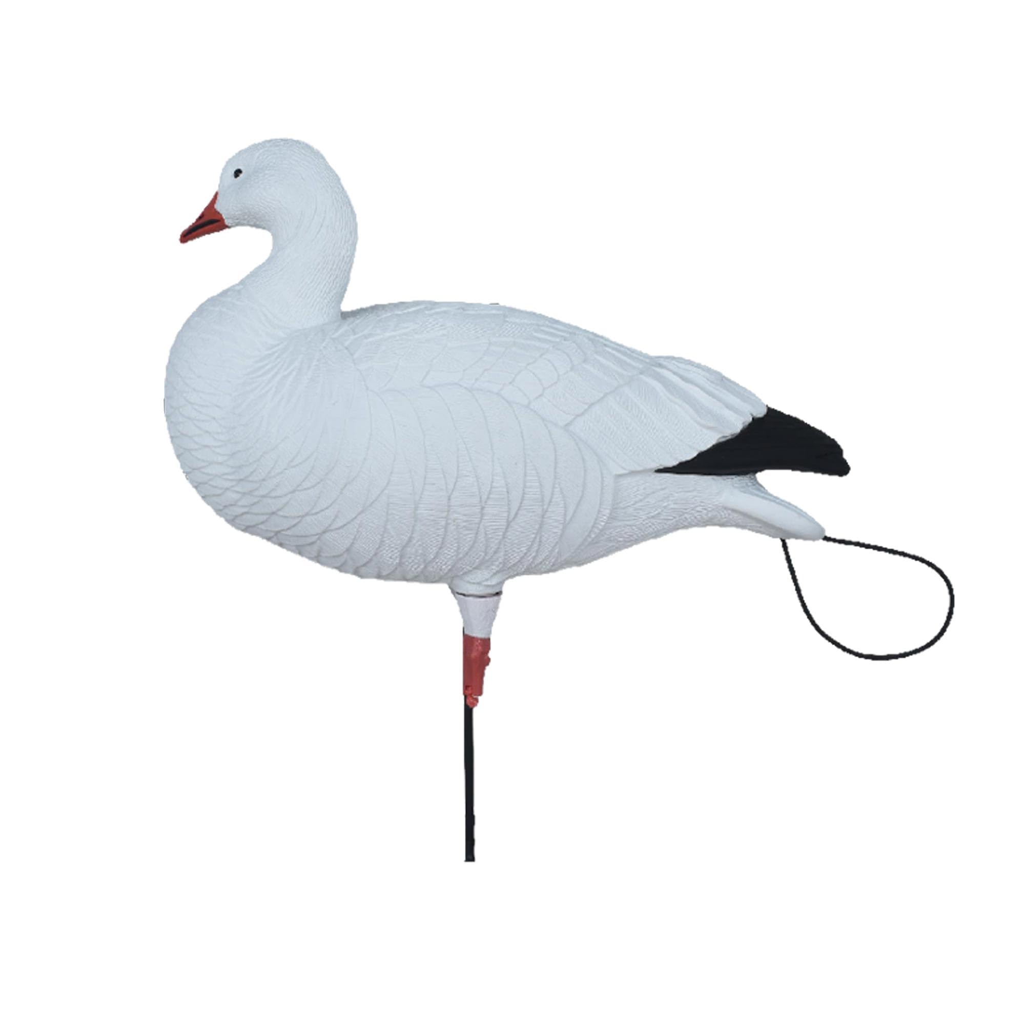 Avery Pro-Flex harvester feeders decoys with balanced poses for spread depth