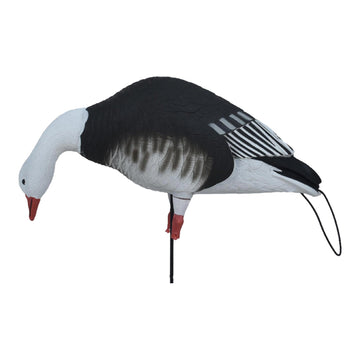 Avery Pro-Flex tail loops enable quick setup and hauling