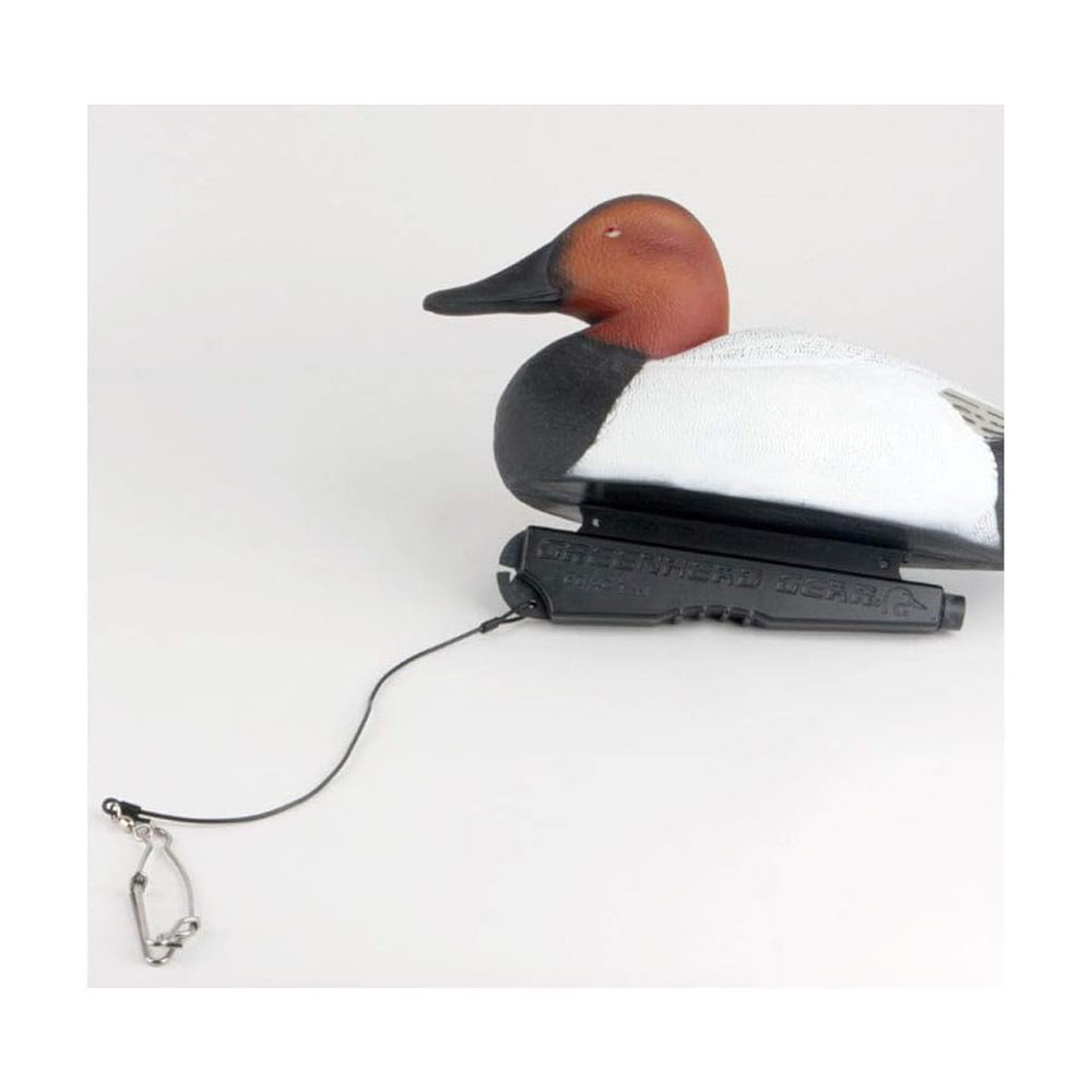 Avery Quicksnap gang clip 12-pack ideal for fast setups.
