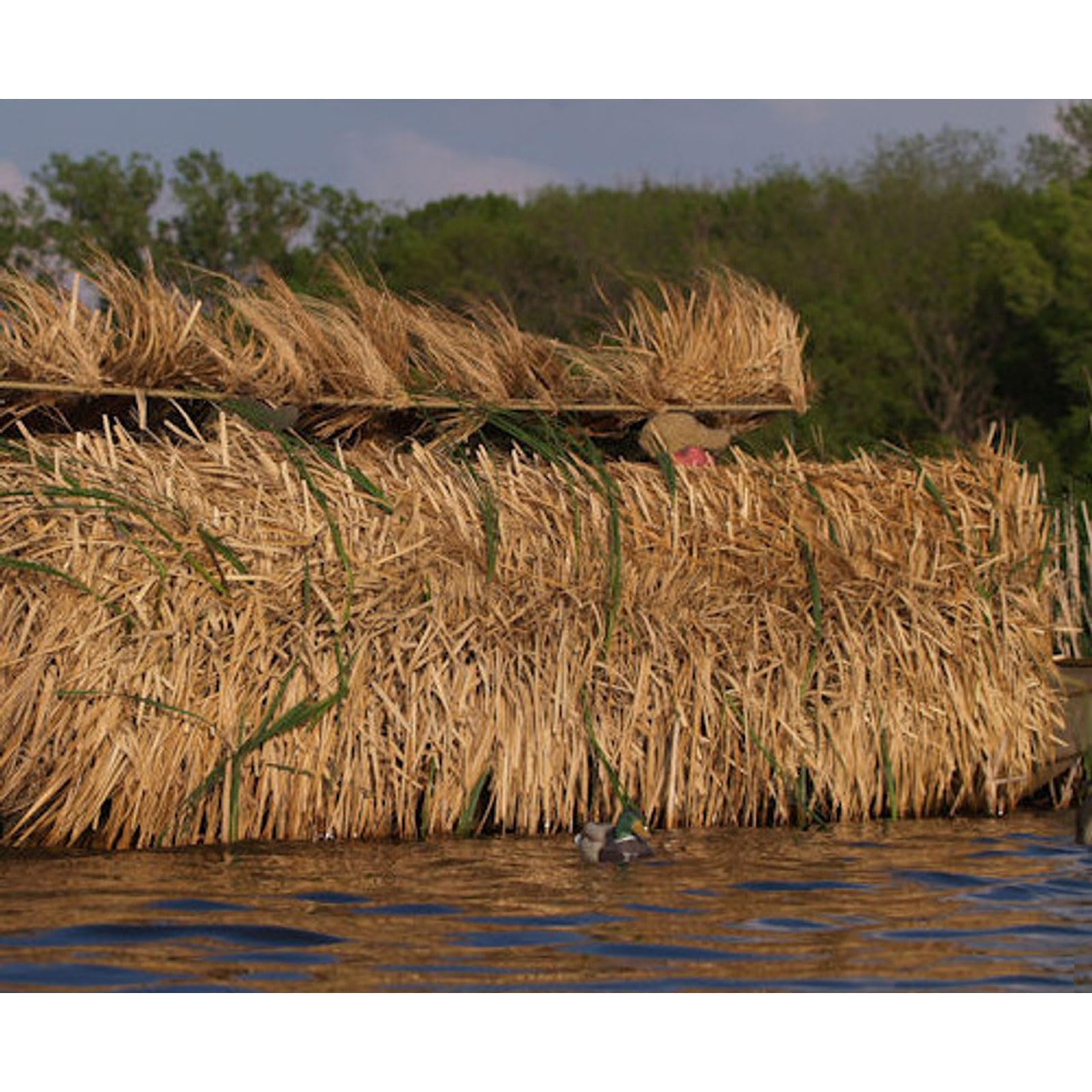 Avery RealGrass durable hunting camo for year-round concealment.