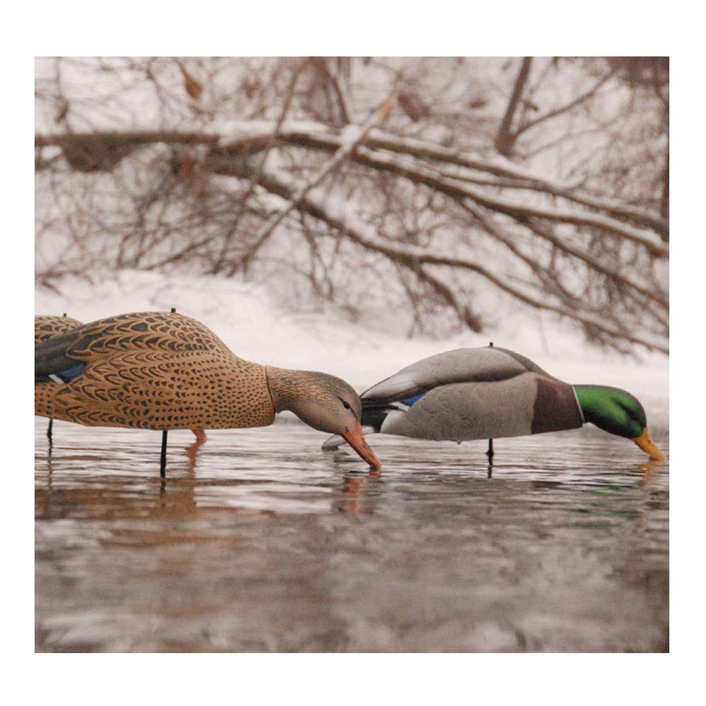 Avery seamless-design Mallard Shell Harvester decoys prevent breast splitting and simplify stacking.