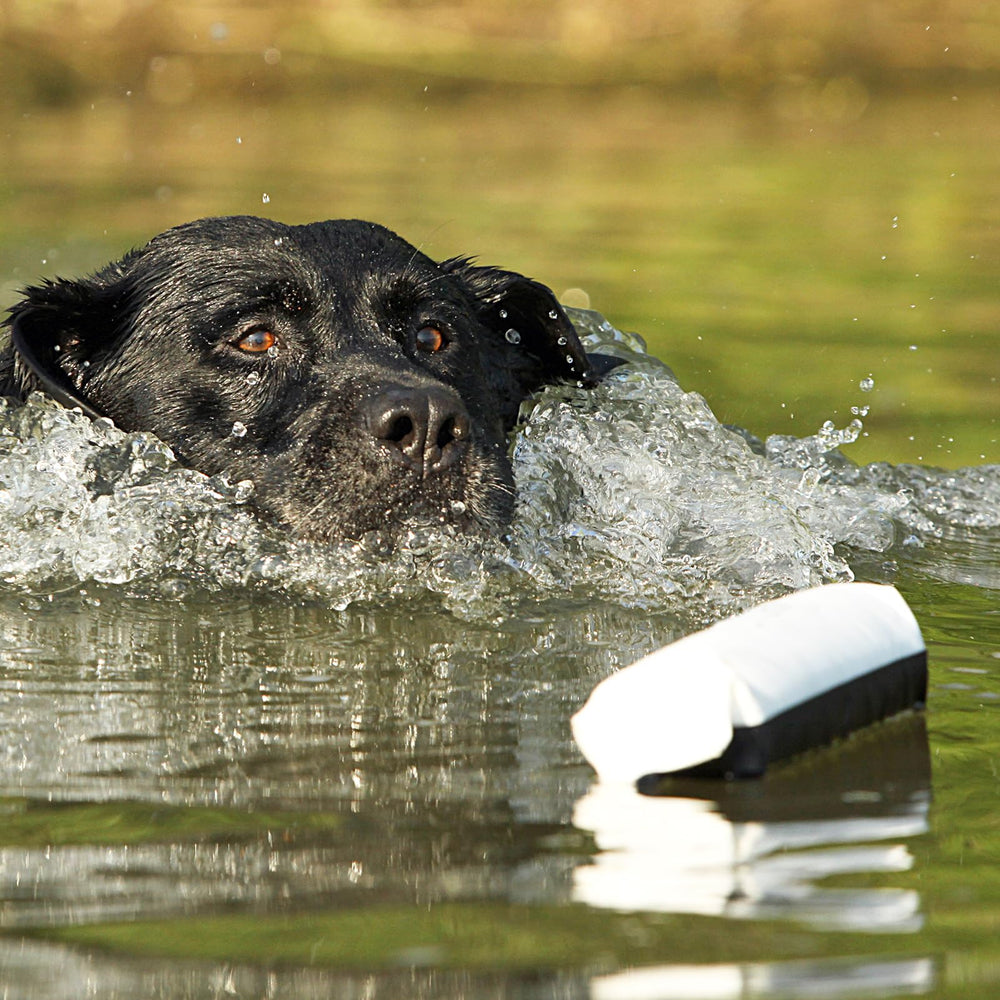 Avery Training Bumper supports seasoned retrievers during challenging drills.