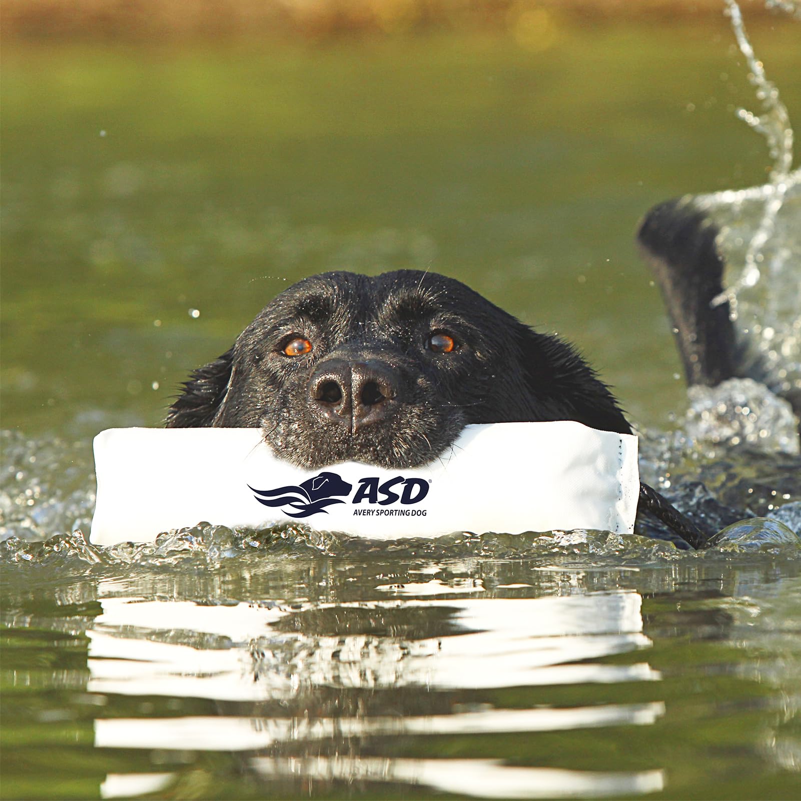 Avery Sporting Dog Canvas Bumper with 2in size for mark-and-retrieve drills.