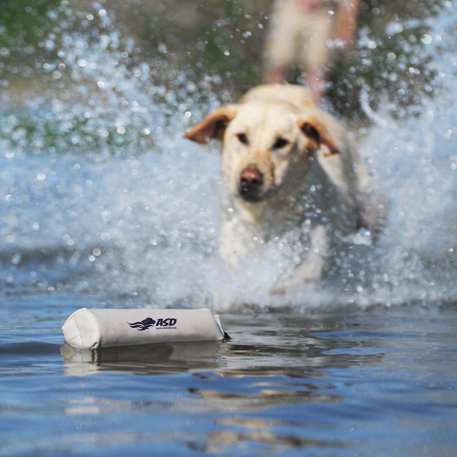 Avery Sporting Dog bumper showcases versatile training for puppies and retrievers.
