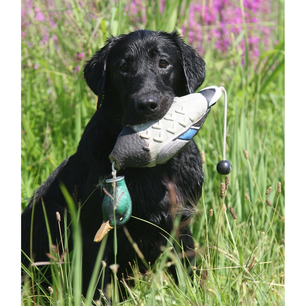 Avery EZ-Bird Mallard soft floating body; safe landing in water training.