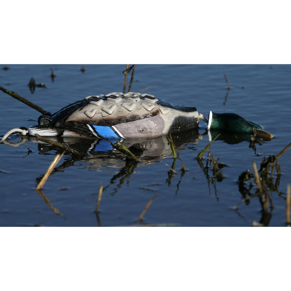 Avery EZ-Bird Mallard weighted dummy; enables longer throws for drills.