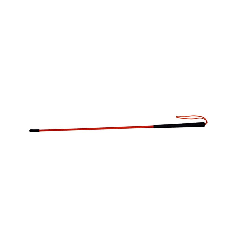 Avery Trainer's Heeling Stick 36-inch fiberglass rod for precise training.